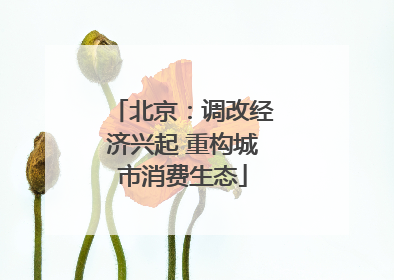 北京：调改经济兴起 重构城市消费生态