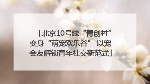 北京10号线“青创村”变身“萌宠欢乐谷” 以宠会友解锁青年社交新范式