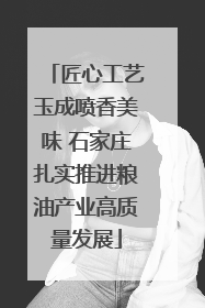 匠心工艺玉成喷香美味 石家庄扎实推进粮油产业高质量发展