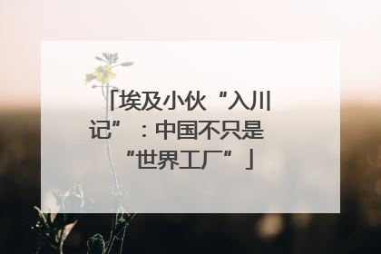 埃及小伙“入川记”：中国不只是“世界工厂”