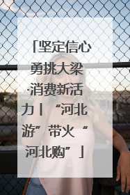 坚定信心 勇挑大梁·消费新活力丨“河北游”带火“河北购”