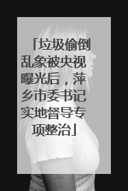 垃圾偷倒乱象被央视曝光后，萍乡市委书记实地督导专项整治
