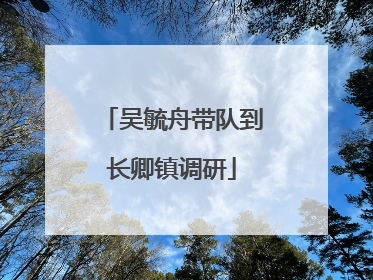 吴毓舟带队到长卿镇调研