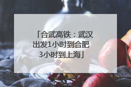 合武高铁：武汉出发1小时到合肥3小时到上海