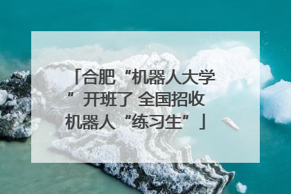 合肥“机器人大学”开班了 全国招收机器人“练习生”