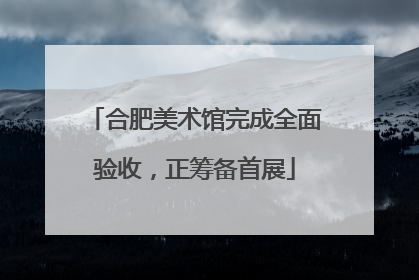 合肥美术馆完成全面验收，正筹备首展