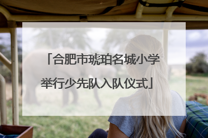 合肥市琥珀名城小学举行少先队入队仪式