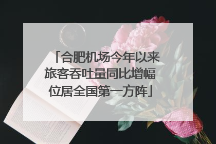 合肥机场今年以来旅客吞吐量同比增幅位居全国第一方阵