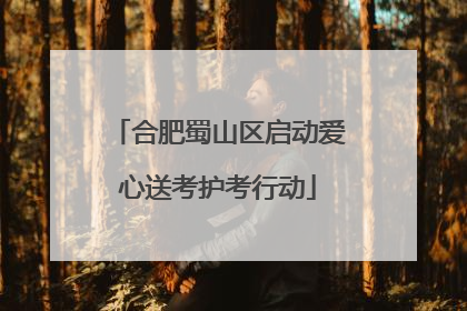 合肥蜀山区启动爱心送考护考行动