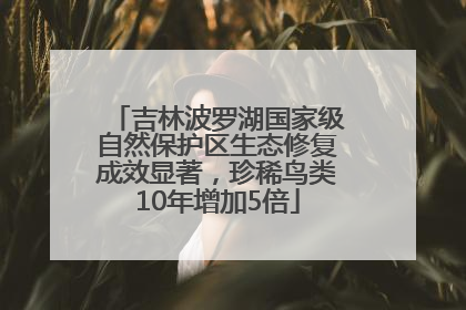 吉林波罗湖国家级自然保护区生态修复成效显著，珍稀鸟类10年增加5倍
