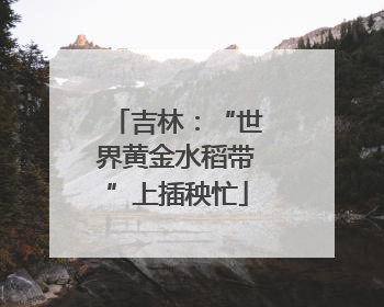 吉林：“世界黄金水稻带”上插秧忙