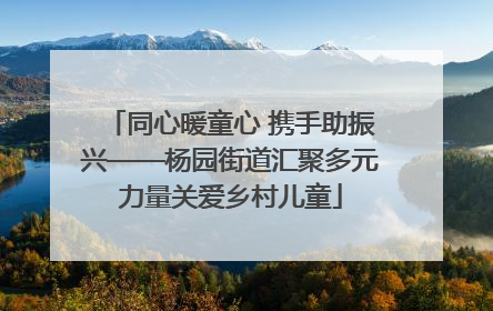 同心暖童心 携手助振兴——杨园街道汇聚多元力量关爱乡村儿童