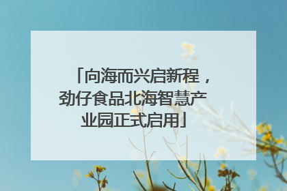 向海而兴启新程，劲仔食品北海智慧产业园正式启用