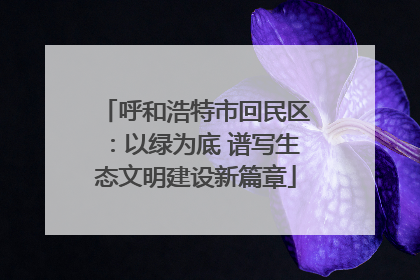 呼和浩特市回民区：以绿为底 谱写生态文明建设新篇章