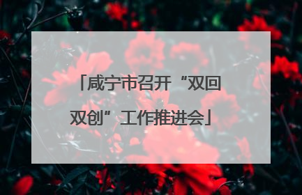 咸宁市召开“双回双创”工作推进会