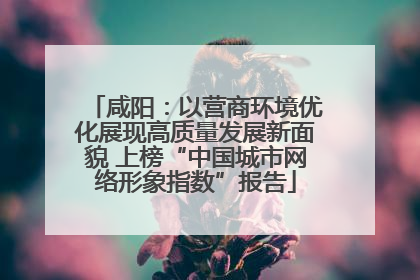 咸阳：以营商环境优化展现高质量发展新面貌 上榜“中国城市网络形象指数”报告