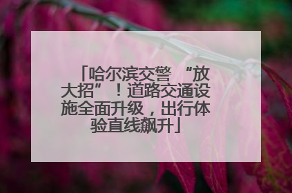 哈尔滨交警 “放大招”！道路交通设施全面升级，出行体验直线飙升