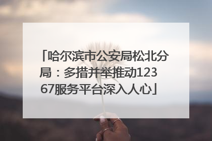 哈尔滨市公安局松北分局：多措并举推动12367服务平台深入人心
