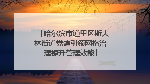哈尔滨市道里区斯大林街道党建引领网格治理提升管理效能