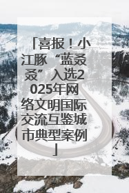 喜报！小江豚“蓝叒叒”入选2025年网络文明国际交流互鉴城市典型案例