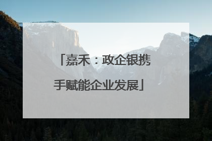 嘉禾：政企银携手赋能企业发展