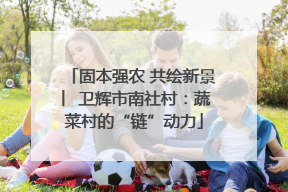 固本强农 共绘新景 ︳卫辉市南社村：蔬菜村的“链”动力