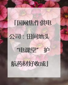 国网焦作供电公司：田间地头“电课堂” 护航药材好收成