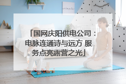 国网庆阳供电公司：电脉连通诗与远方 服务点亮露营之光
