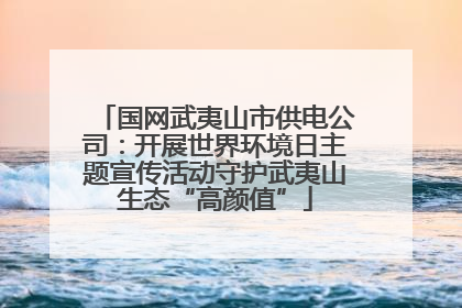 国网武夷山市供电公司：开展世界环境日主题宣传活动守护武夷山生态“高颜值”