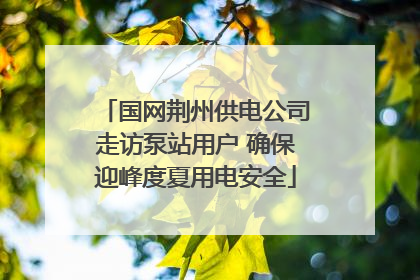 国网荆州供电公司走访泵站用户 确保迎峰度夏用电安全