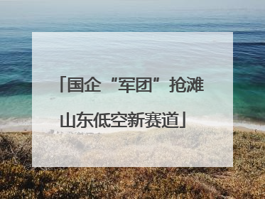 国企“军团”抢滩山东低空新赛道