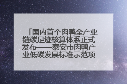 国内首个肉鸭全产业链碳足迹核算体系正式发布——泰安市肉鸭产业低碳发展标准示范项目顺利通过验收