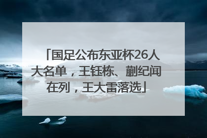 国足公布东亚杯26人大名单，王钰栋、蒯纪闻在列，王大雷落选
