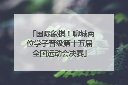 国际象棋！聊城两位学子晋级第十五届全国运动会决赛