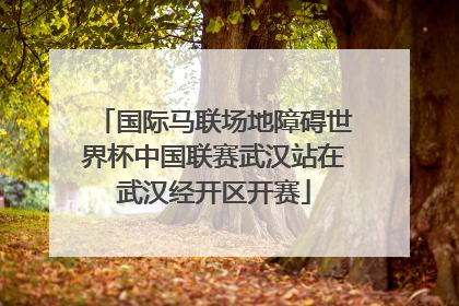 国际马联场地障碍世界杯中国联赛武汉站在武汉经开区开赛
