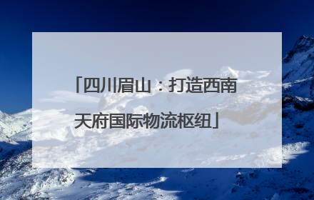 四川眉山：打造西南天府国际物流枢纽