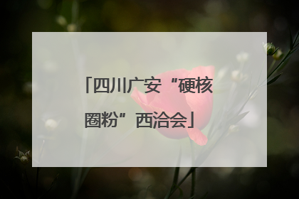四川广安“硬核圈粉”西洽会
