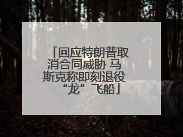 回应特朗普取消合同威胁 马斯克称即刻退役“龙”飞船