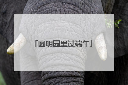 圆明园里过端午