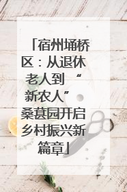 宿州埇桥区：从退休老人到 “新农人” 桑葚园开启乡村振兴新篇章