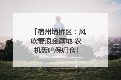 宿州埇桥区：风吹麦浪金满地 农机轰鸣保归仓