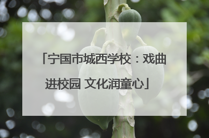 宁国市城西学校：戏曲进校园 文化润童心