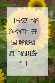 宁夏“稻渔空间”开园 解锁初夏“稻田游”