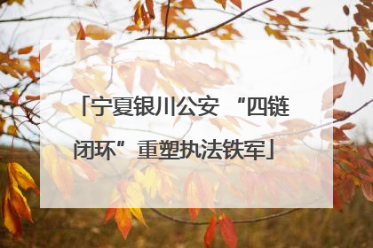 宁夏银川公安 “四链闭环”重塑执法铁军