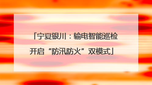 宁夏银川：输电智能巡检开启“防汛防火”双模式