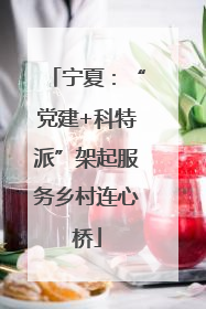 宁夏：“党建+科特派”架起服务乡村连心桥