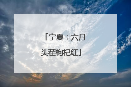 宁夏：六月头茬枸杞红