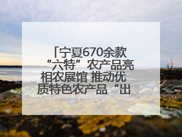 宁夏670余款“六特”农产品亮相农展馆 推动优质特色农产品“出宁进京”
