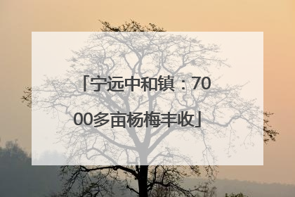宁远中和镇：7000多亩杨梅丰收