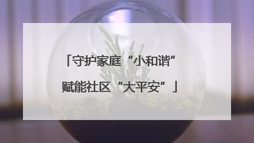 守护家庭“小和谐” 赋能社区“大平安”